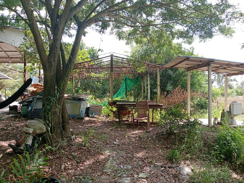 ขายบ้านสวน2ไร่ คลองหก คลองหลวง ปทุมธานี เส้นเดียวกับ ม.ราชมงคลคลองหก 17