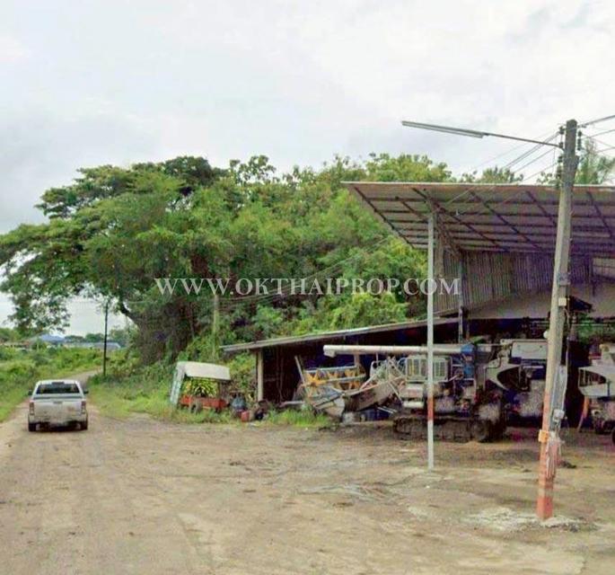 ขายที่ดินพร้อมต้นสัก ใกล้อบต.สร้อยทอง อ.ตาคลี จ.นครสวรรค์ 2