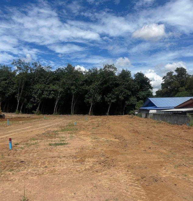 ขายที่ดินจัดสรรหนองละลอกเริ่มต้น 50 ตรว. ถมแล้วน้ำ-ไฟพร้อมใกล้นิคมปิ่นทอง6-1.8กม. อ.บ้านค่าย ระยอง 9