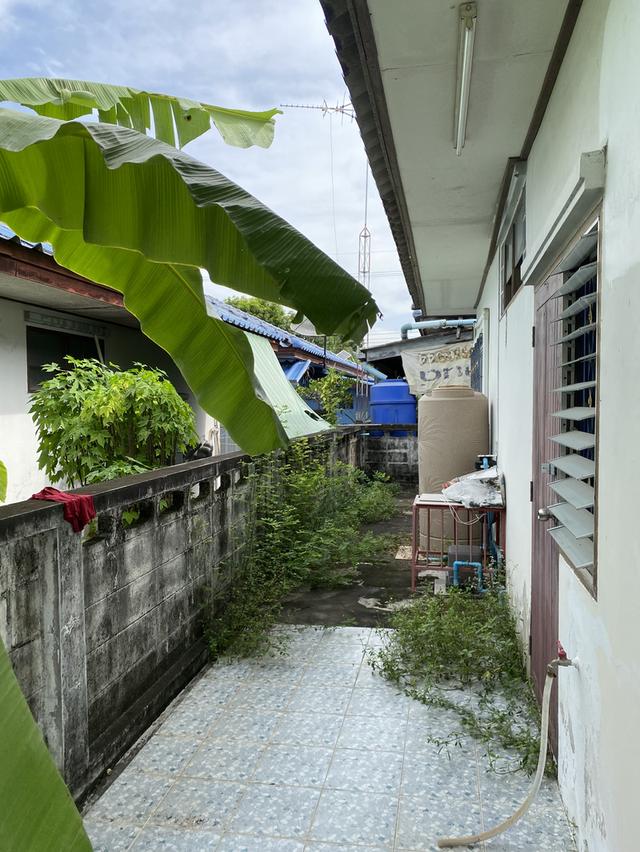 บ้านเดี่ยวชั้นเดียว 60ตรว ในตัวเมืองชลบุรี 15