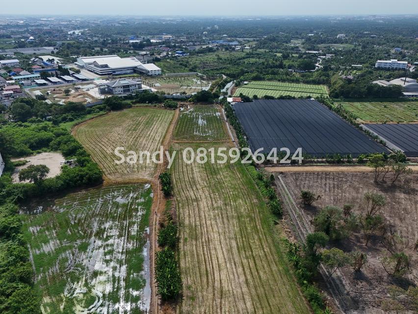 ขายที่ดินติดถนนใหญ่ ตรงข้ามเซ็นทรัล ศาลายา 6