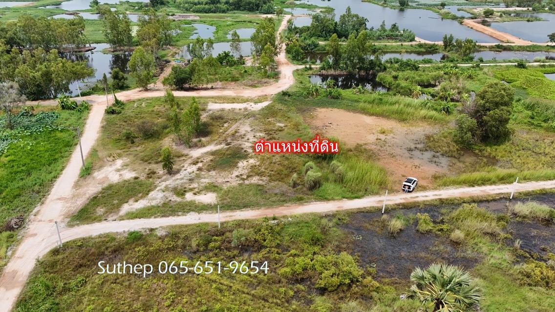ขายที่ดินถมแล้ว 1-3-38 ไร่ ใกล้หาดแม่รำพึง 1 กม. ไฟฟ้า ประปาพร้อม ตะพง ระยอง 7