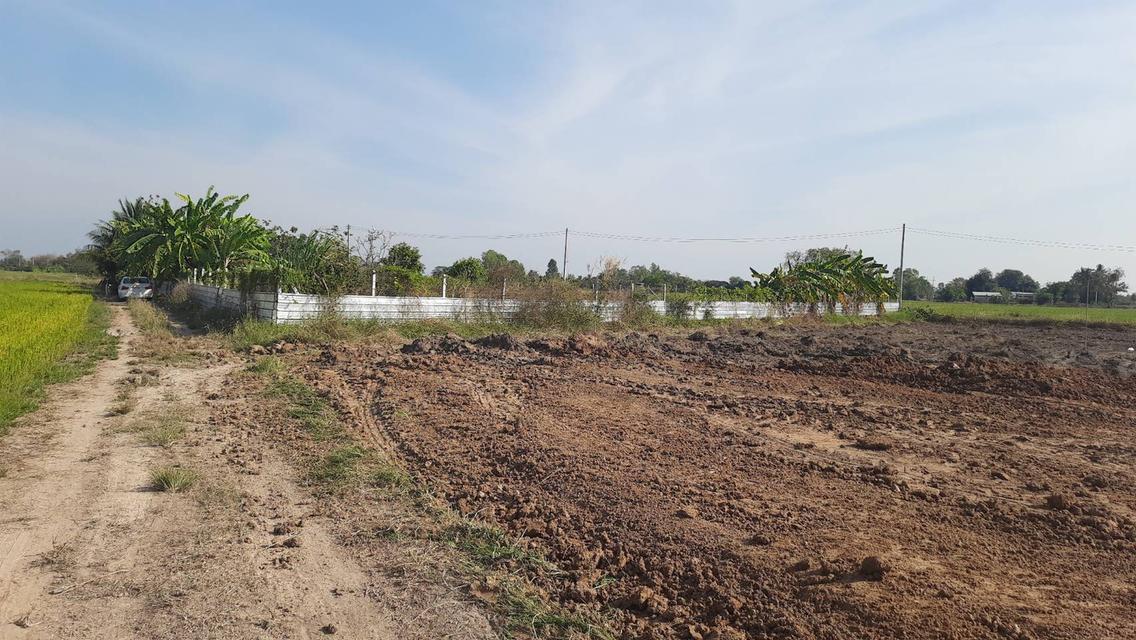 ขายที่ดินแปลงเล็กถมเเล้ว ผ่อนได้ ต. หนองผักนาก อ.สามชุก จ.สุพรรณบุรี 1