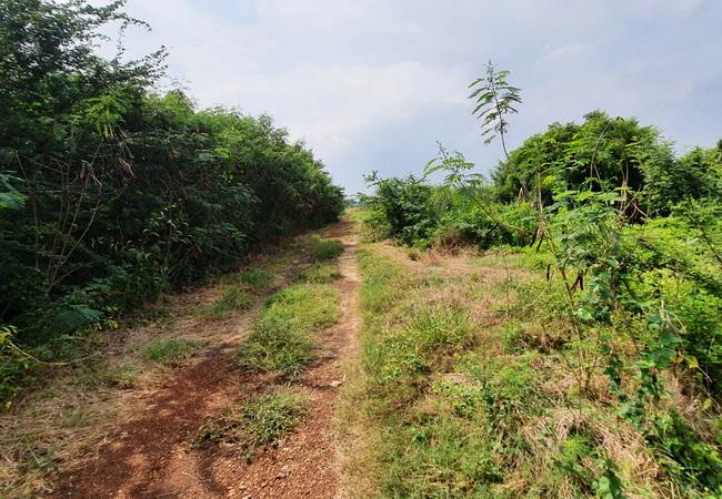 ขายที่ดิน ถนนฤชุพันธ์(บางบัวทอง-สุพรรณบุรี) ตำบลไทรใหญ่ อำเภอไทรน้อย นนทบุรี 6