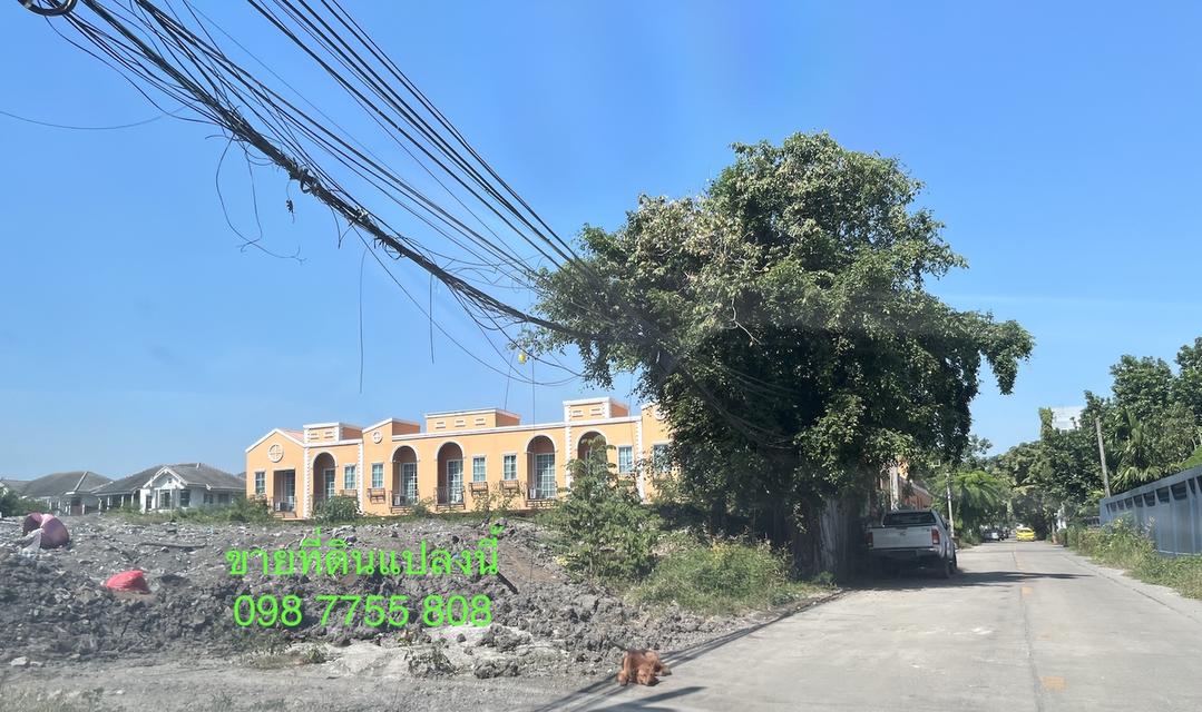 ขายที่ดิน 326 วา ใกล้ ม.รามคำแหง หัวหมาก 098 7755 808 16