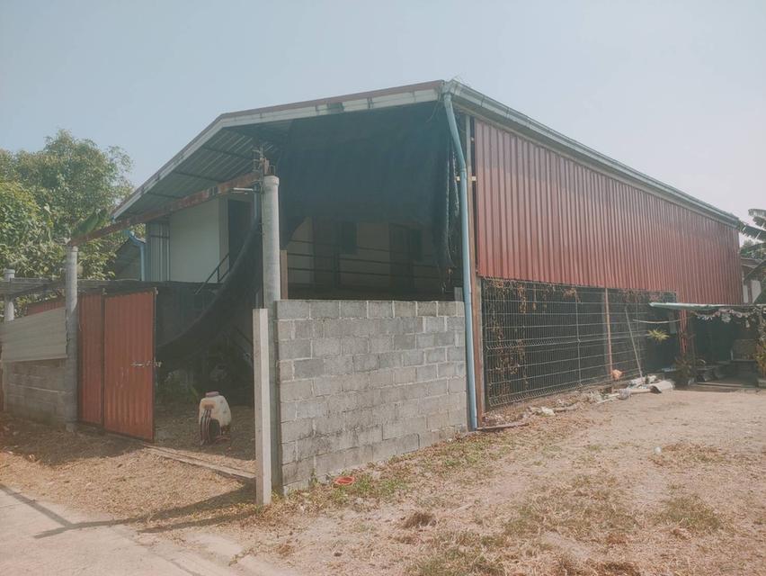 โกดังสองชั้นนนทบุรีเจ้าของขายเอง 1