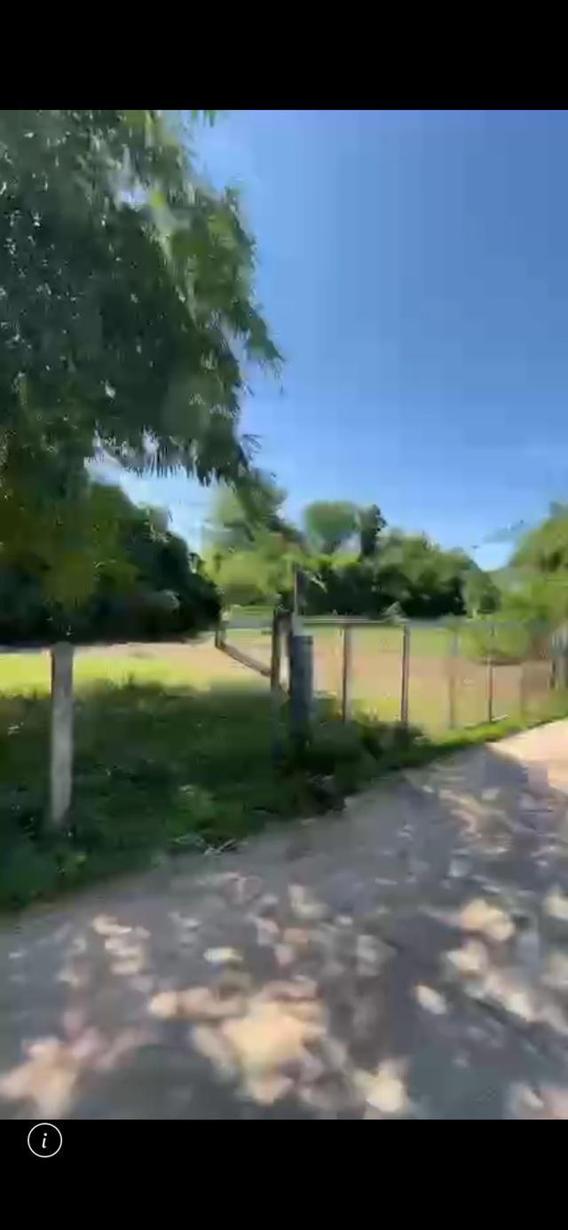 ขายที่ 4ไร่ พร้อมบ้าน จังหวัดมหาสารคาม 1