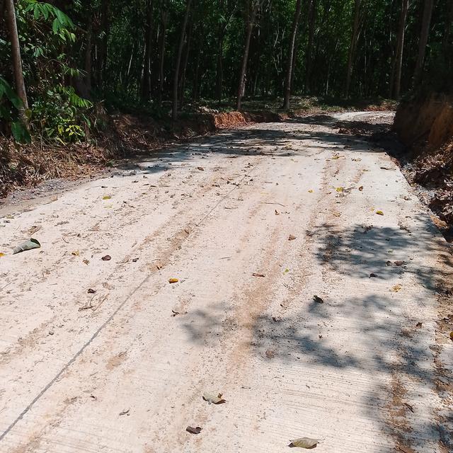 ที่ดิน บ้านคลองน้ำใส ต.คลองเคียน อ.ตะกั่วทุ่ง จ.พังงา 6