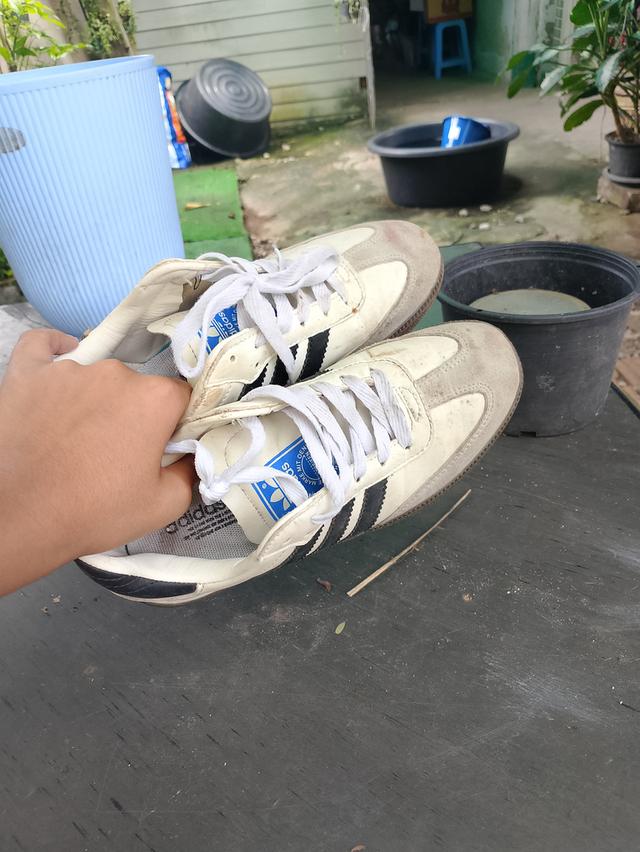 รองเท้าSamba EUR36 CM23.0