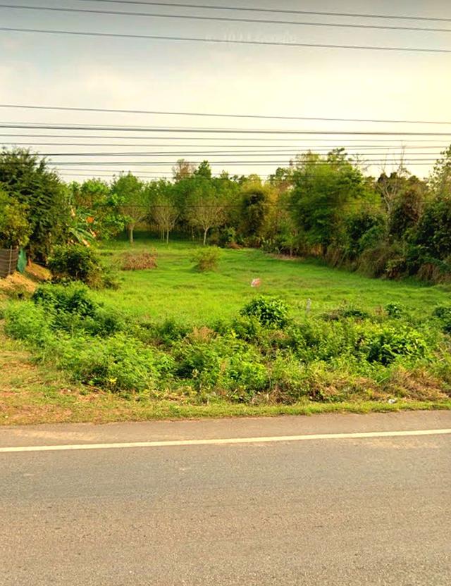 ขายที่ดิน ติดถนนใหญ่ ถนนอุดร-กุดจับ มีรถประจำทางผ่านตลอด และอยู่ใกล้แหล่งชุมชน ห้างสรรพสินค้า เดินทางไม่ถึง 20 นาที 6