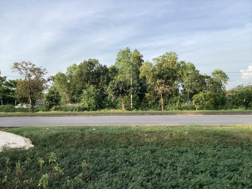 ขายที่ดินติดถนนเมนหลักใกล้สถานีรถไฟใหม่ “นครพนม” 11