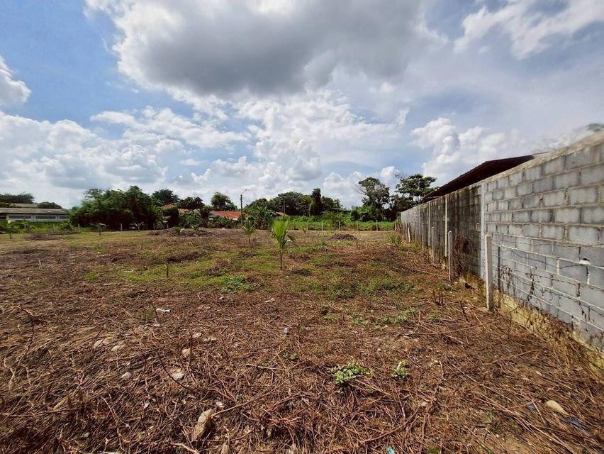 ขายด่วน ที่ดินพุทธมณฑลสายสาม 360 ตารางวา ถมแล้วทั้งแปลง ซอย 19 แยก 6-12 เขตทวีวัฒนา กทม.