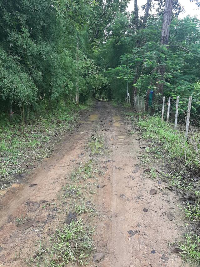 ที่ดินเปล่า ติดกับทางขึ้นพระพุทธบาทสี่รอย อ.แม่ริม จ.เชียงใหม่ 17