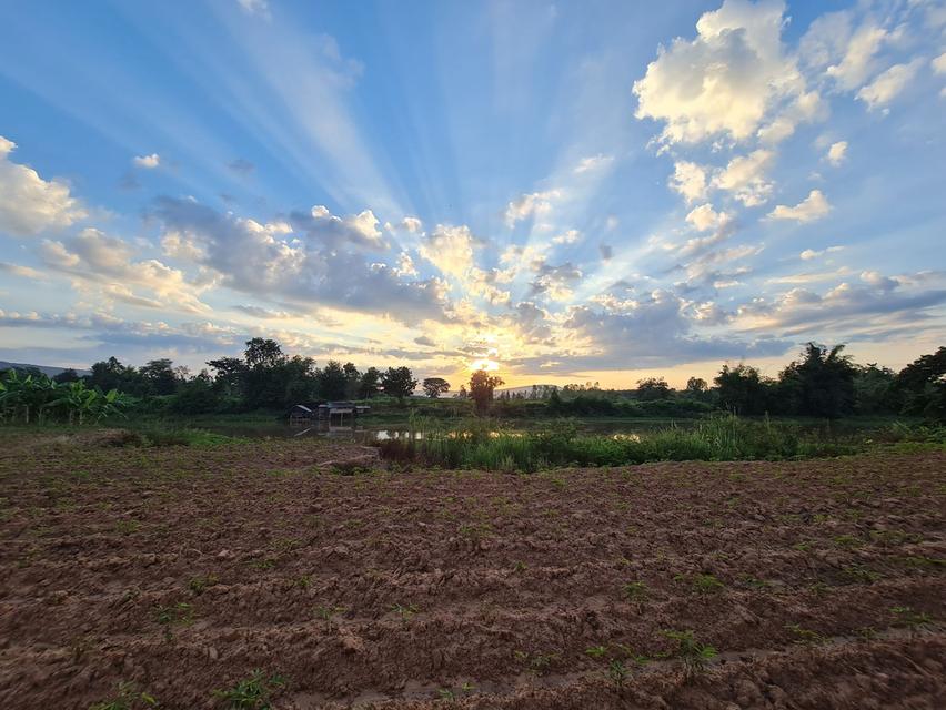 ขายที่ดินหายาก ติดน้ำ 700 กว่าเมตร 6