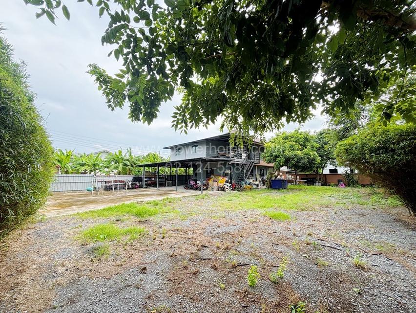 ที่ดิน พร้อมบ้านเดี่ยว 2 ชั้น 50 ตร.ว. ซอยเจียมเจริญ 6 ใกล้เซ็นทรัลเวสต์เกต ถนนกาญจนาภิเษก ต. บางคูรัด อ. บางบัวทอง จ. นนทบุรี 7