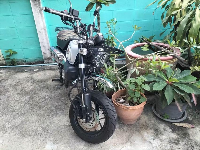 Honda monkey 125 มี 5 เกียร์ ปี 2023 จ รูปที่ 5