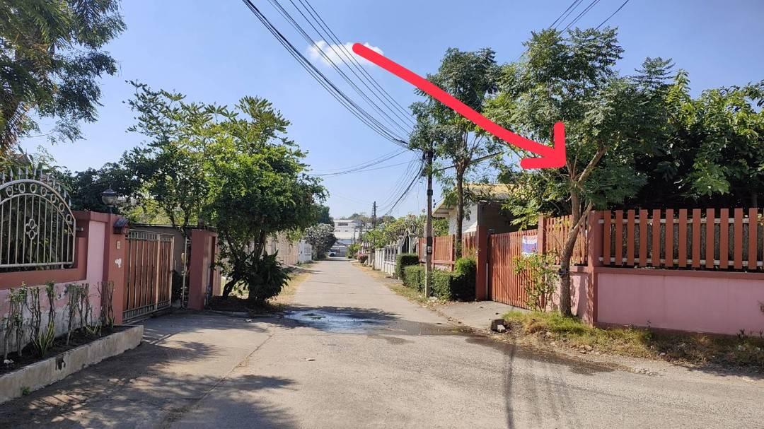 ขายที่ดินยกแปลงถมแล้ว 2-0-11 ไร่ กลางหมู่บ้านจราจรพัฒนา เขาแก่นจันทน์ ซอย 9 ใกล้ตลาดศรีเมือง พร้อมโฉนด ดอนตะโก ราชบุรี 3