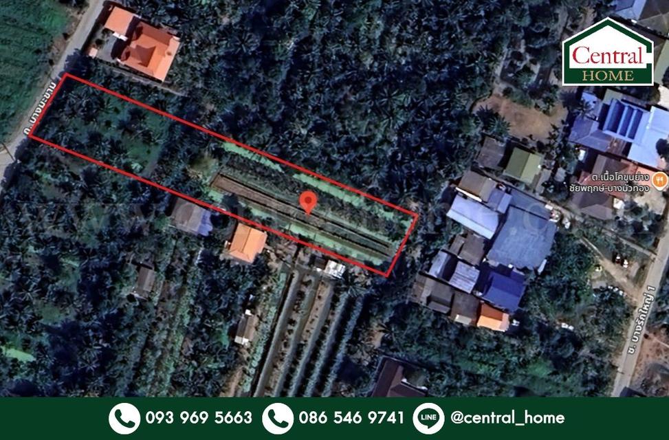 ที่ดินเปล่า 2 - 1 - 61 ไร่ ซอยบางรักใหญ่ 1 นนทบุรี ทำเลดี 1