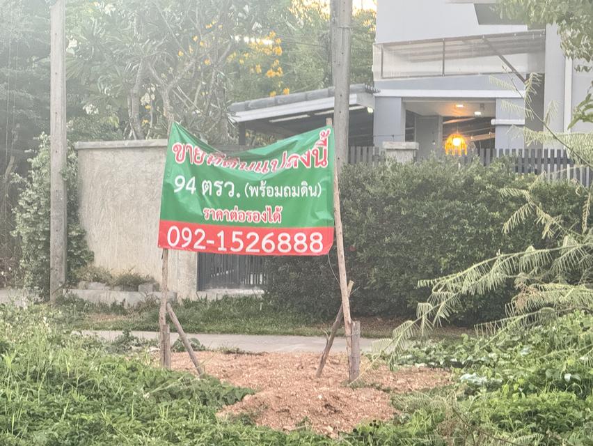 ขายที่ดินจังหวัดเชียงใหม่ 1