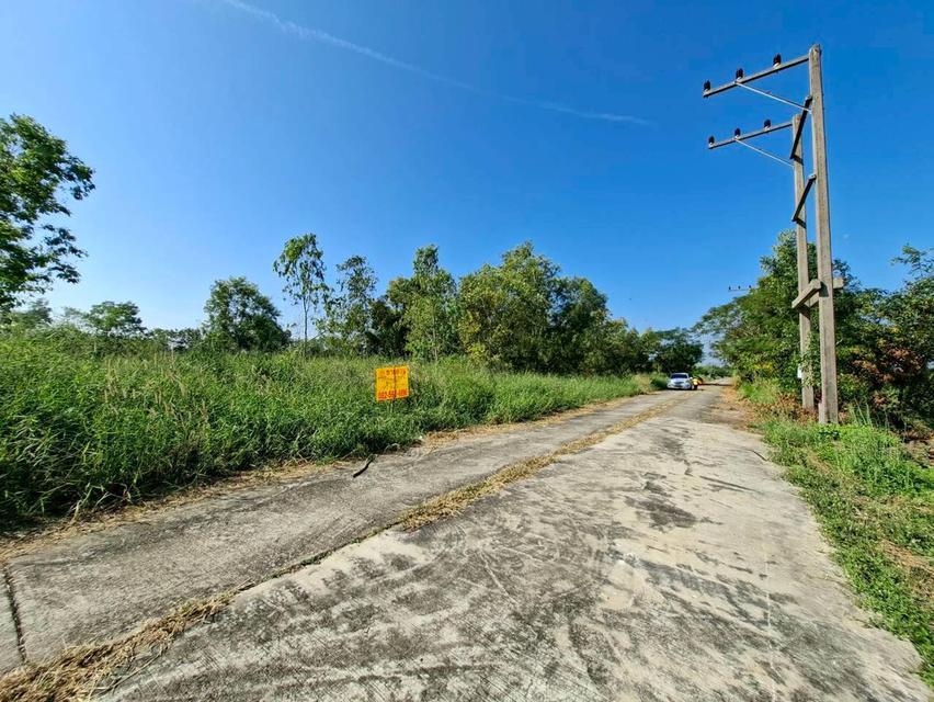 ขายที่ดินเปล่า ซอยสะพานเหลือง(คลองแอน คลอง4) คลองหลวง 3