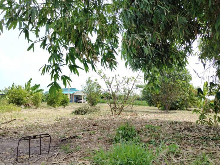 ขายบ้านพร้อมที่ดิน  อยู่ในชุมชน น้ำไฟพร้อม อำเภอเลาขวัญ จ.กาญจนบุรี  2