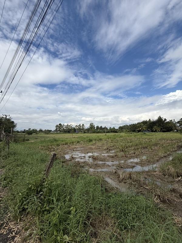 แบ่งขายที่ดิน 14 แปลง ขนาด 75-122 ตารางวา ตั้งอยู่ที่ ตำบลแม่ปูคา อำเภอสันกำแพง จังหวัดเชียงใหม่ (เจ้าของขายเอง) โทร 0806169615 8