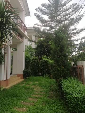 ให้เช่าบ้านเดี่ยว2ชั้น 56ตรว. ถ.ปัญญาอินทรา ใกล้ซาฟารีเวิลด์ 2