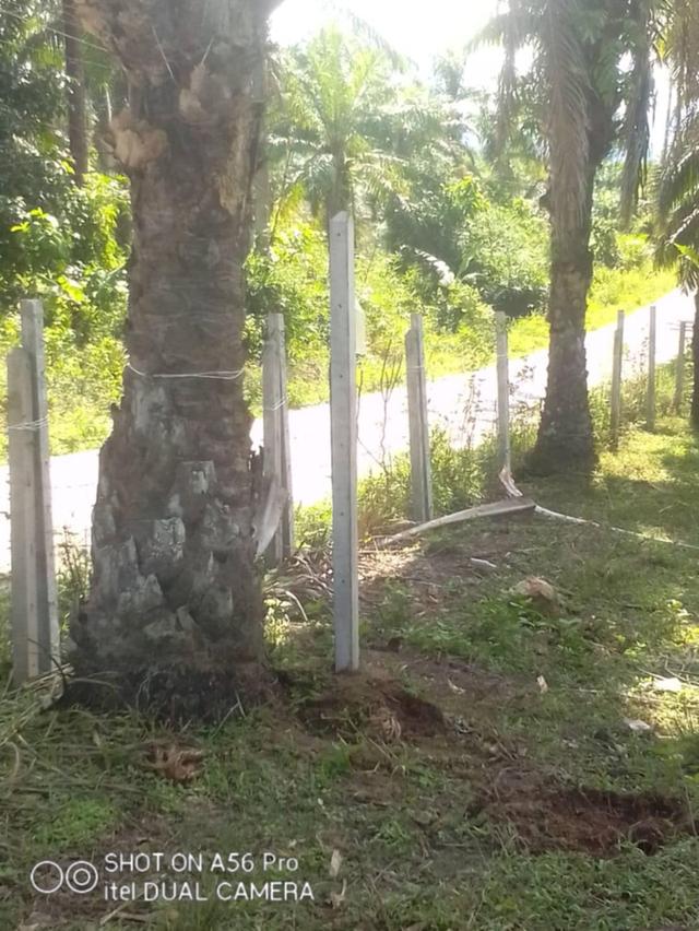 ขายที่ดินคลองท่อม จังหวัดกระบี่ 7
