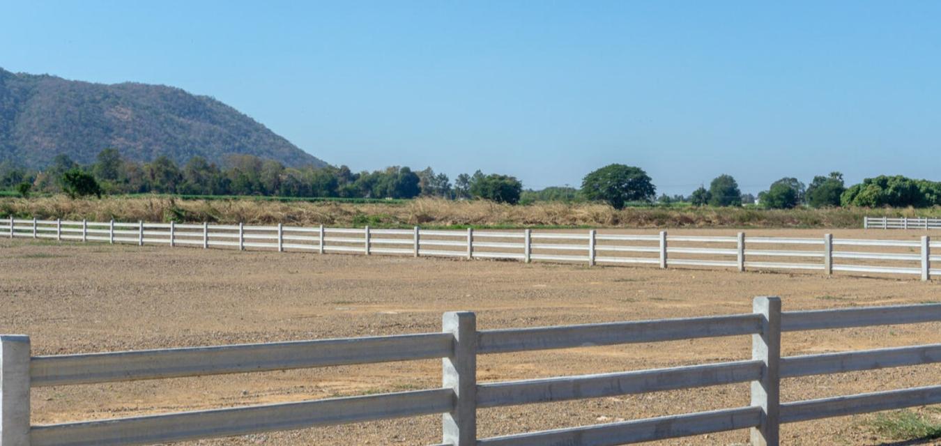 ขายที่ดินพร้อมปลูกสร้าง 4