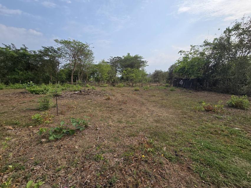 ที่ดินสันกำแพง 2 แปลง รวม 231 ตรว. 5