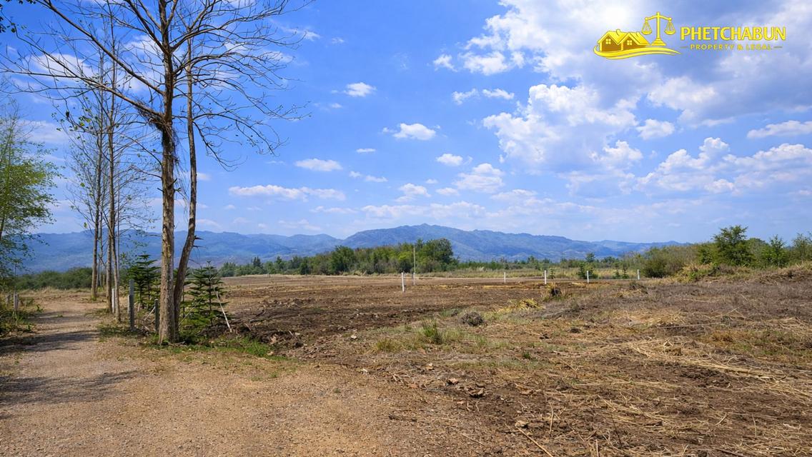 ที่ดินเงินผ่อน ต.วังชมภู อ.เมือง จ.เพชรบูรณ์ 8