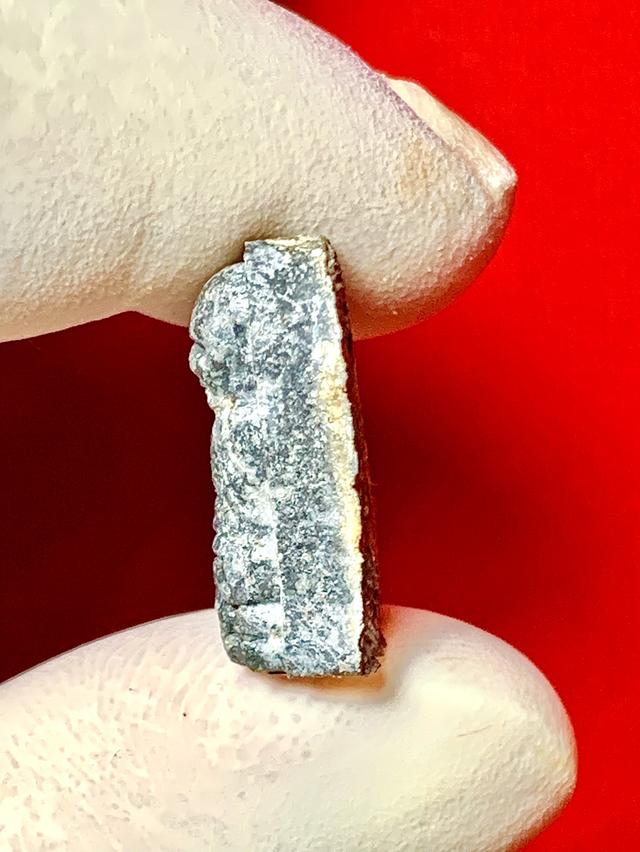 หลวงปู่ทวด รุ่นพระของขวัญ พิมพ์พระรอด เนื้อว่านผสมผงเหล็กไหล หลังลายมือ ออกวัดห้วยมงคล ปี2553 5