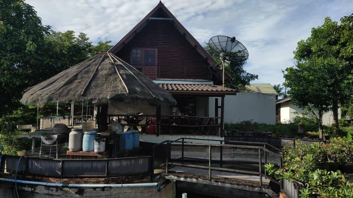 🌳 [ขายด่วน/急售] ที่ดินทองคำ บ้านโป่ง ราชบุรี (550K/ไร่) ติดถนนลาดยาง 3 ด้าน | น้ำไม่ท่วม 100% | เหมาะทำเกษตร โรงงาน และ Wellness Center 7