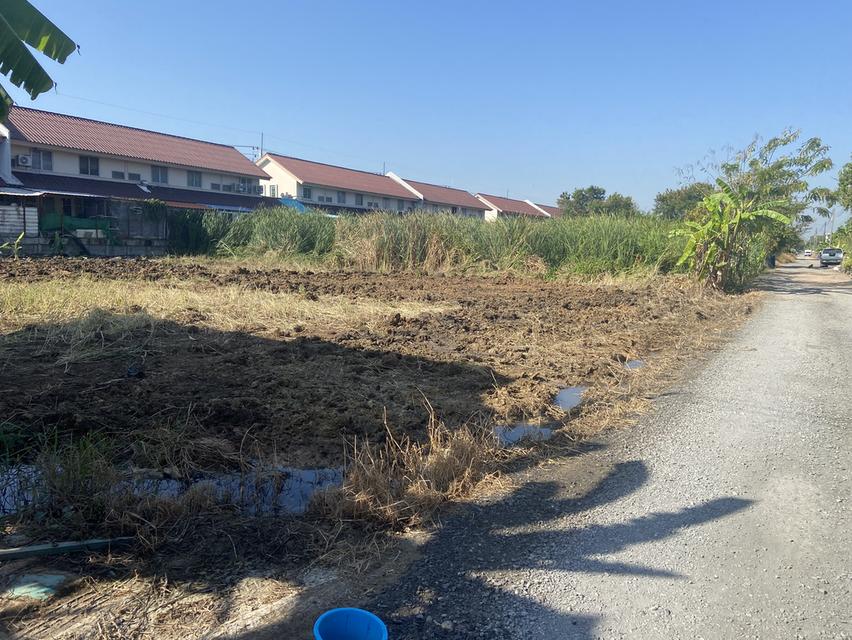 ขายที่ดิน ย่านชุมชน คลอง 2 คลองหลวง 200 ตรวฺ 1
