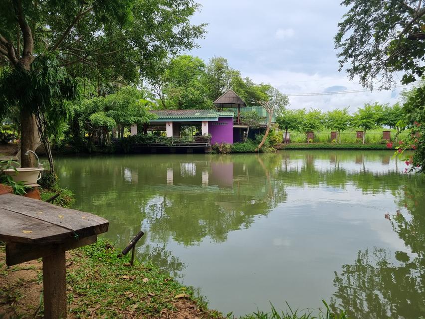 บ้านสวน ทำเลทอง ติดลำคลองธรรมชาติ ใกล้หาดบ้านอำเภอ บางเสร่ จอมเทียน 2