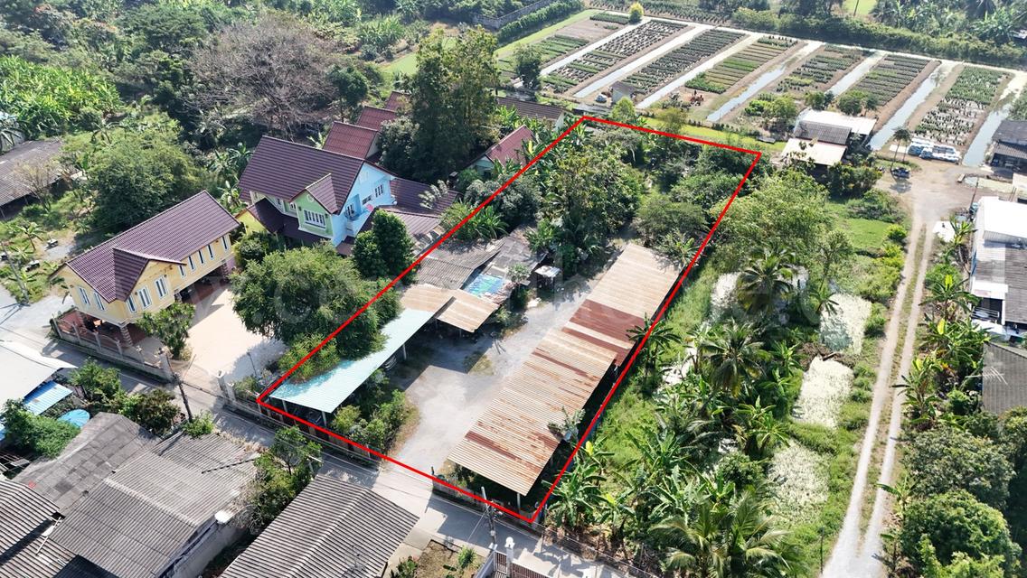 ที่ดิน 1 ไร่ ซอย สุคนธวิท 29 กระทุ่มแบน - สมุทรสาคร ราคาถูก 4