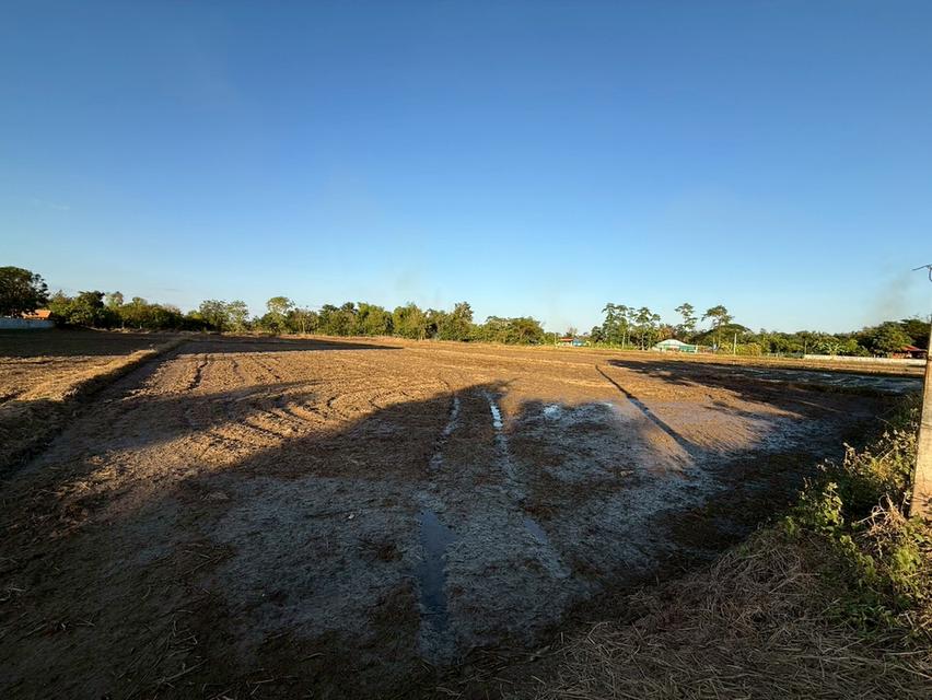 ที่ดินขอนแก่น ตำบลศิลา ที่สวยมากเหมาะกับการลงทุน ทำเลดี 5