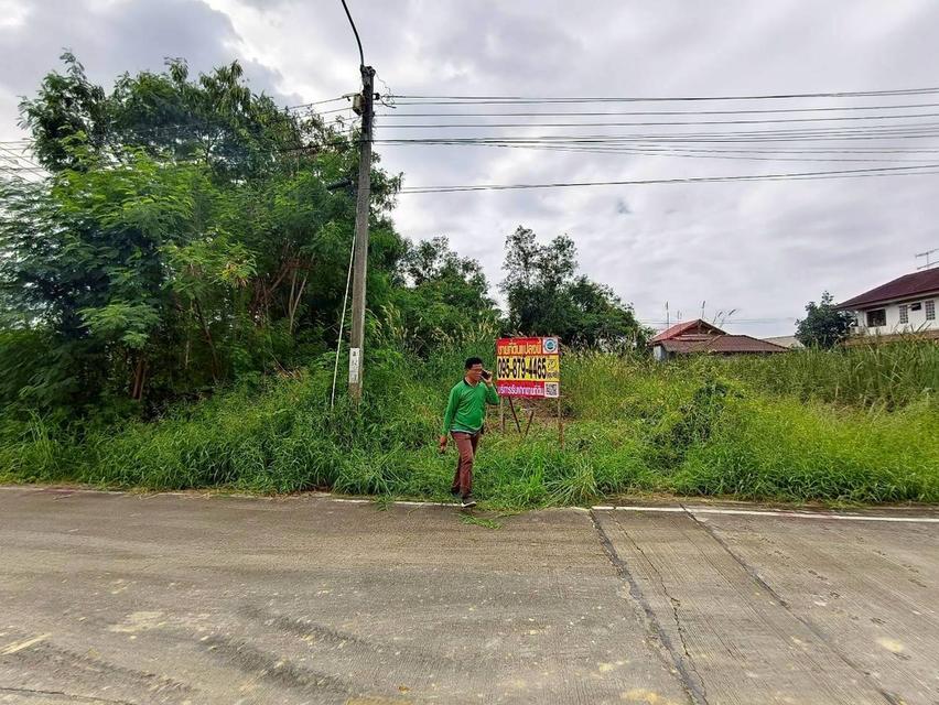 ที่ดิน 10