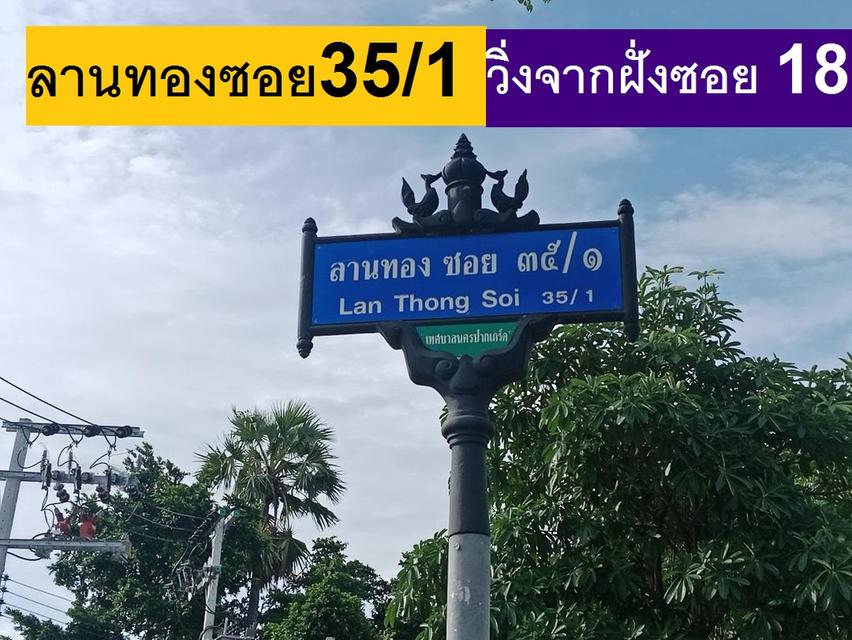 ขายที่ดินม.ลานทอง ปากเกร็ด เพียง 19 แปลง แปลงดีมาก 117.9 ตารางวาสี่เหลี่ยมผืนผ้า หน้ากว้าง 25 เมตรอย่างสวยราคาจับต้องได้เพียง 4.57 ล้านสวยแบบนี้ขอไม่ล 11