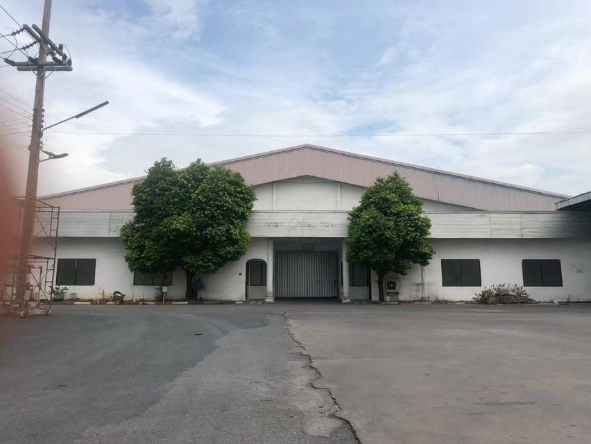 ให้เช่า โกดัง โกดัง ปทุมธานี 1566 ตรม ใกล้วัดบางคูวัดใน 1