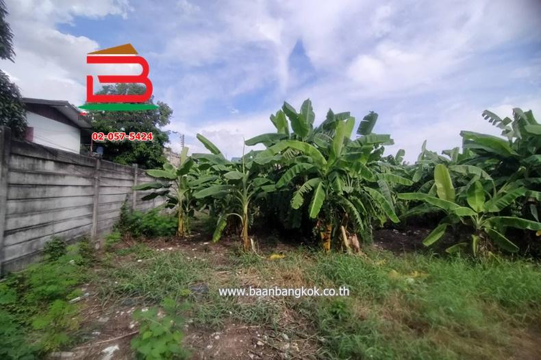 ที่ดินเปล่า เนื้อที่ 1-3-8 ไร่ จันทน์ 43 แยก 18 (ซอยสมาคมตระกูลโต๋ว), ใกล้เซ็นทรัลพระราม 3 ถนนเจริญราษฎร์ แขวงบางโคล่ เขตบางคอแหลม 8