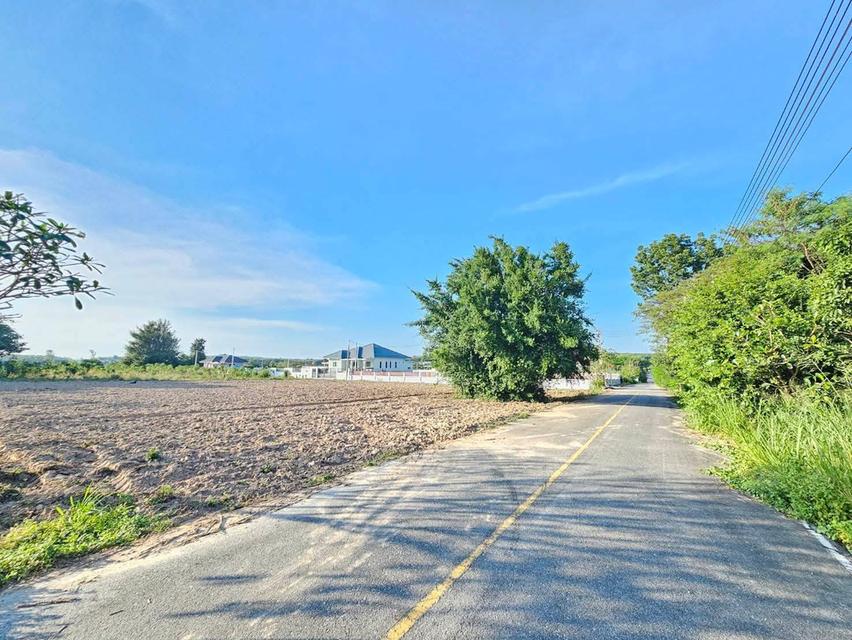 ขายที่ดิน 13 ไร่ ปลวกแดง จ.ระยอง 3