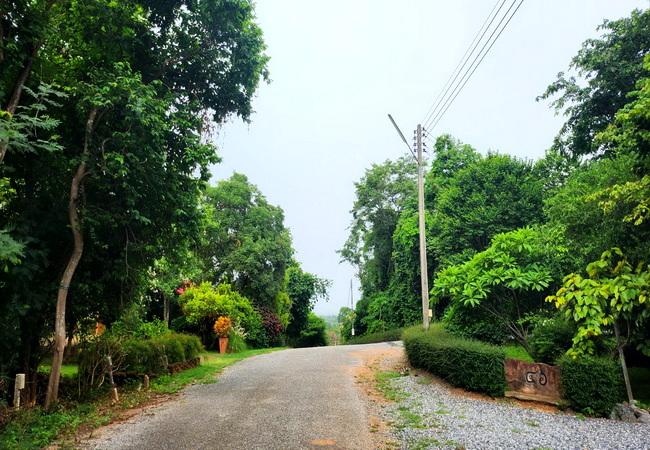 ขายที่ดิน สีคิ้ว นครราชสีมา ถนนมิตรภาพ โครงการไร่จันทน์งาม เนื้อที่ 2-0-64 ไร่ 5