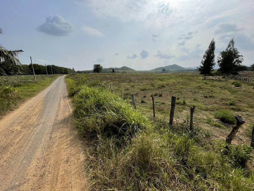 ขายที่ดิน ประจวบคีรีขันธ์ 5