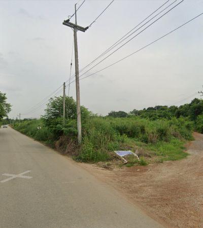 ขายที่ดินผังสีม่วง ขนาด 10 ไร่ ติดถนน 2 ด้าน ทำเลเด่น ติดถนนใหญ่ ใจกลางนิคมอุตสาหกรรมเกตเวย์ อ.แปลงยาว จ.ฉะเชิงเทรา 4