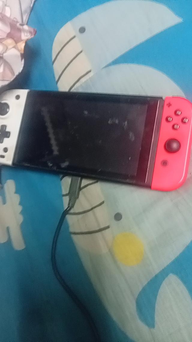 เกม nintendo switch 30,000