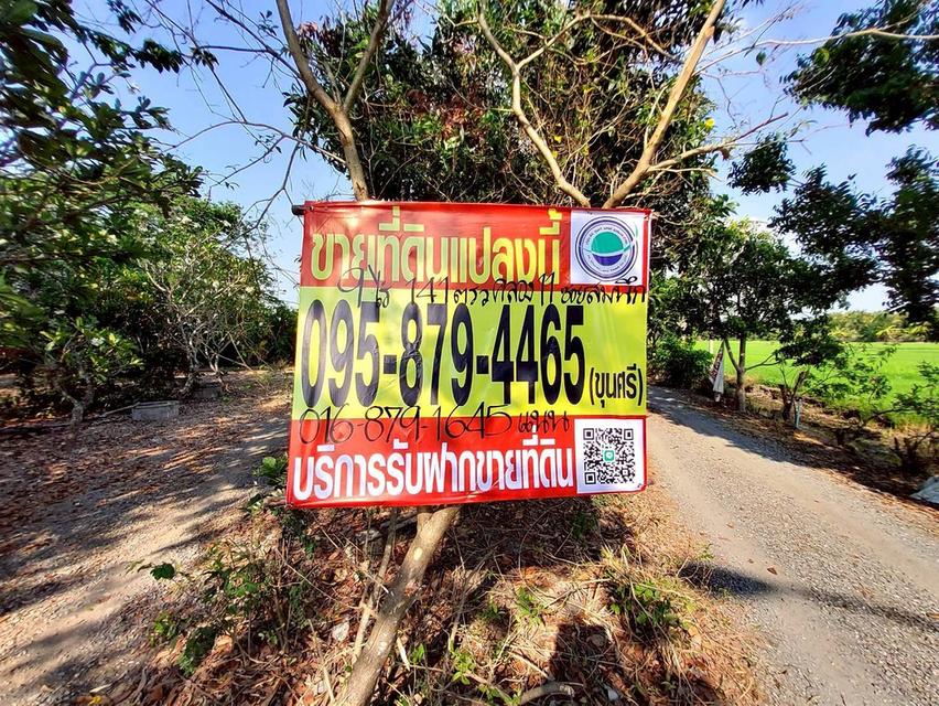 ขายด่วนที่ดิน 9-1-41 ไร่ ติดถนนสาธารณะ คลอง 11 ตอ. ซอย สมนึก อ.หนองเสือ จ.ปทุมธานี 6