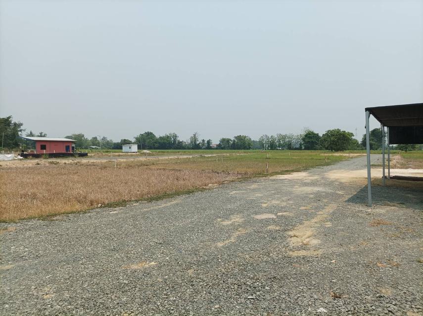 ขายที่ดิน ราคา4,500บาท/ตร.ว. ต.สง่าบ้าน อ.ดอยสะเก็ด เชียงใหม่ 16