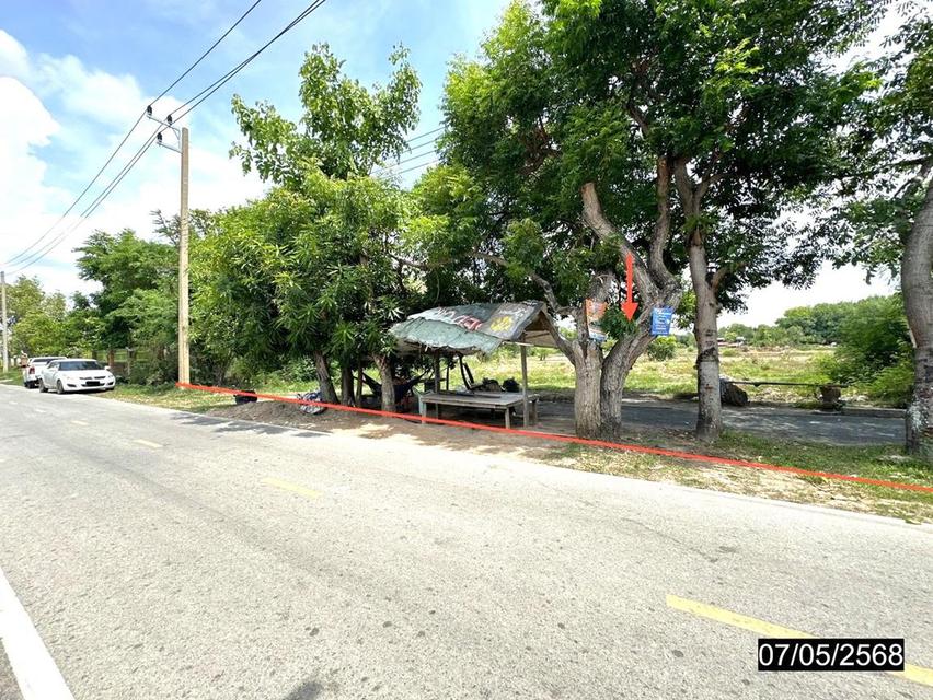 ที่ดินร้อยเอ็ด 8 ไร่กว่า ผืนใหญ่ ทำเลดี ติดถนนสายหลัก 5