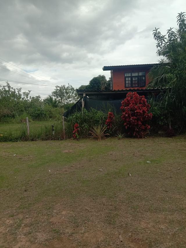 บ้านพร้อมที่ดิน คลองสอง วังน้ำเขียว 3